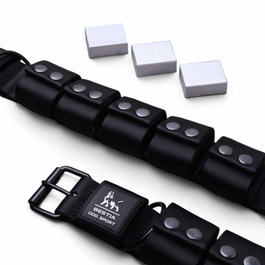 🐕 Collar de Entrenamiento con Peso BESTIA – Pesos Extraíbles y Ajustables 💪