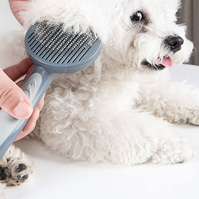 Cepillo autolimpiable para perros y gatos – Cuidado del pelaje