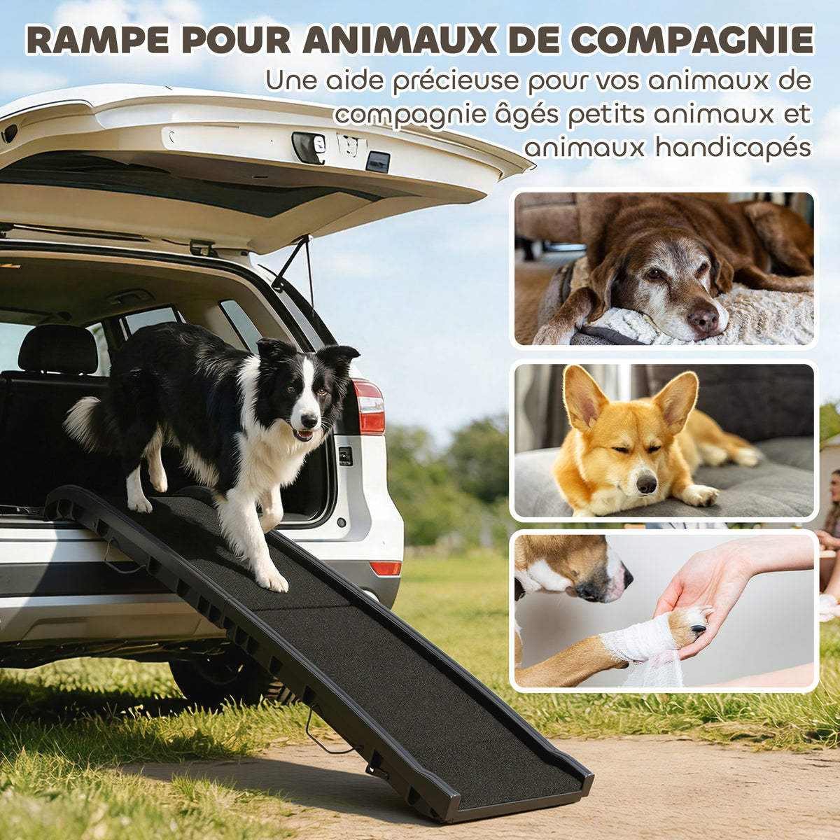 🐶 Rampa Plegable Antideslizante para Perros de 155 cm – Acceso Fácil y Seguro al Coche 🚗