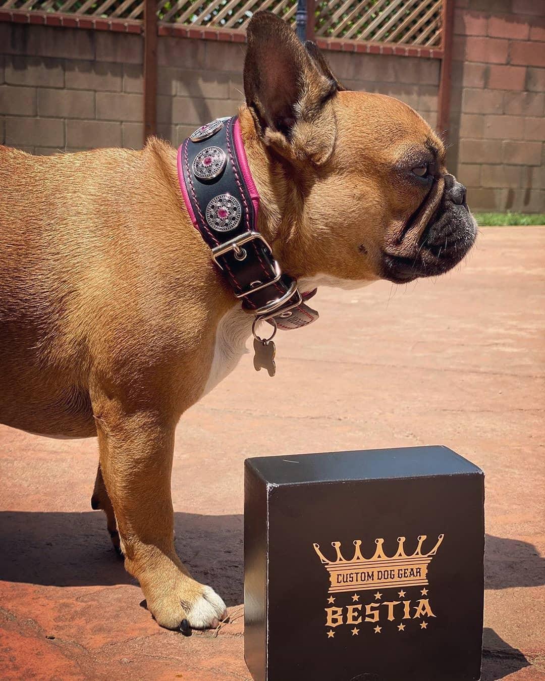 💗 Collar BESTIA BIJOU con Cristales Rosas – Elegancia, Lujo y Comodidad para tu Perro 🐾