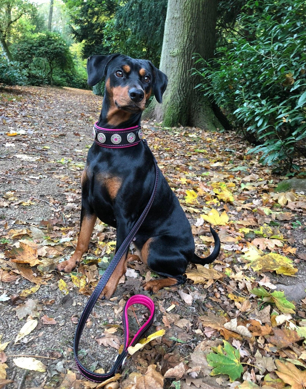 💗 Collar BESTIA BIJOU con Cristales Rosas – Elegancia, Lujo y Comodidad para tu Perro 🐾