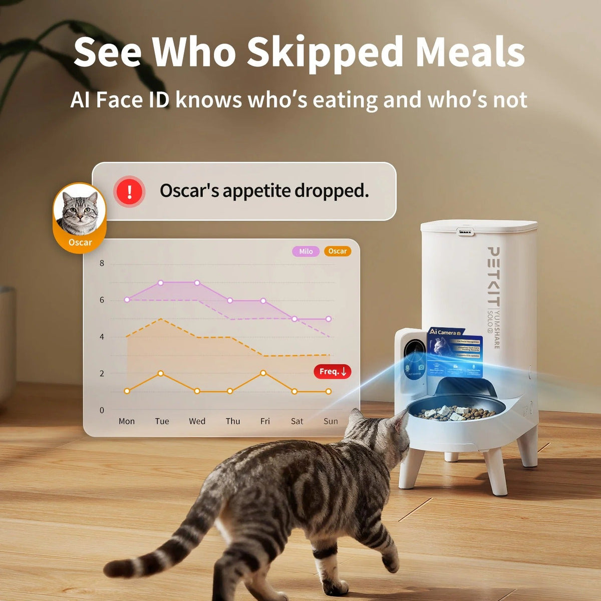 🐾 Comedero Automático Inteligente con IA, Reconocimiento Facial y Cámara en Directo 📱