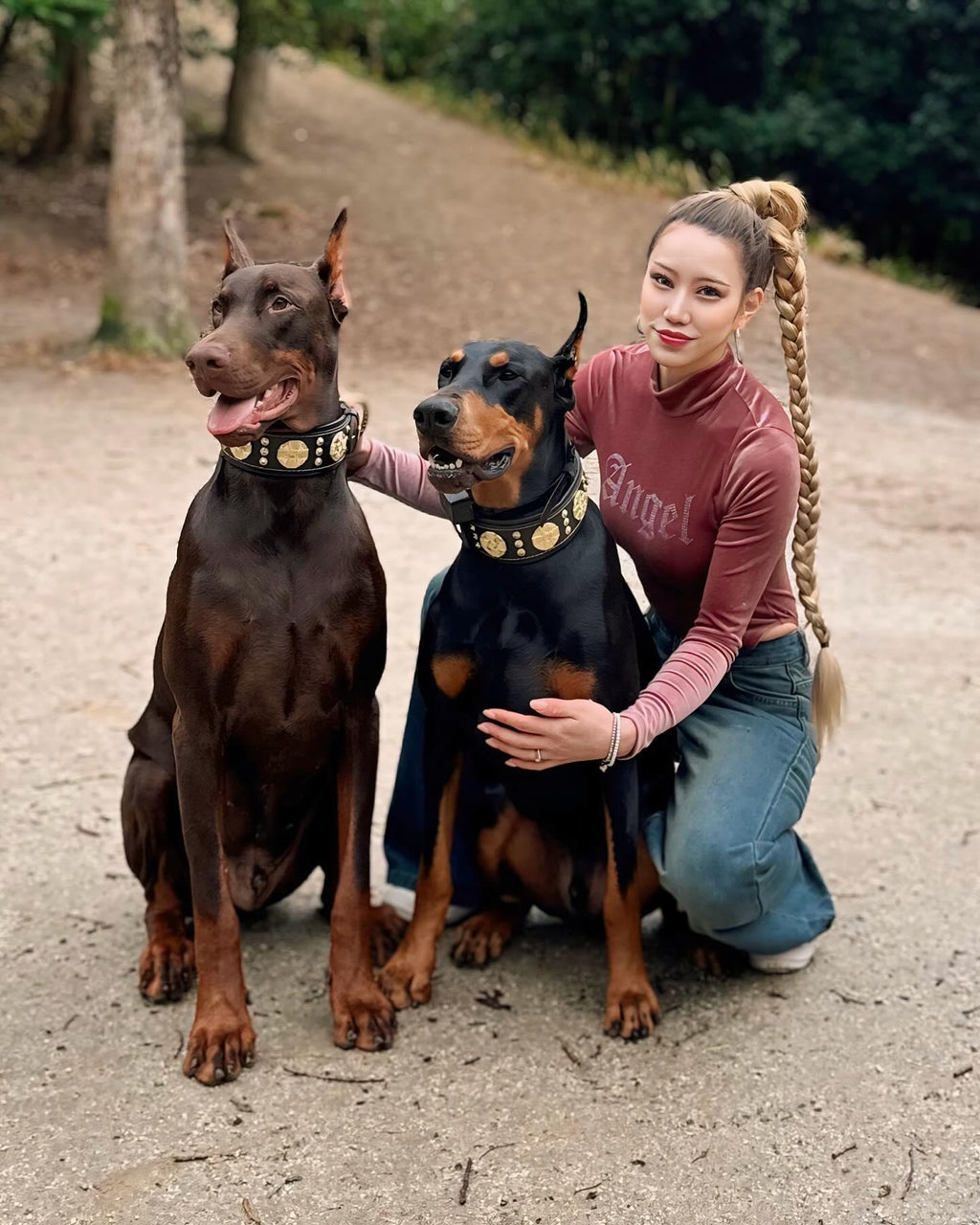 🐕 Collar de Cuero BESTIA MAXIMUS – Negro y Dorado | Lujo, Resistencia y Comodidad