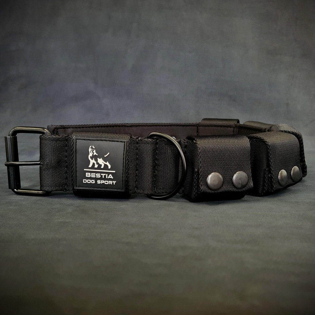 🐕 Collar de Entrenamiento con Peso BESTIA – Pesos Extraíbles y Ajustables 💪