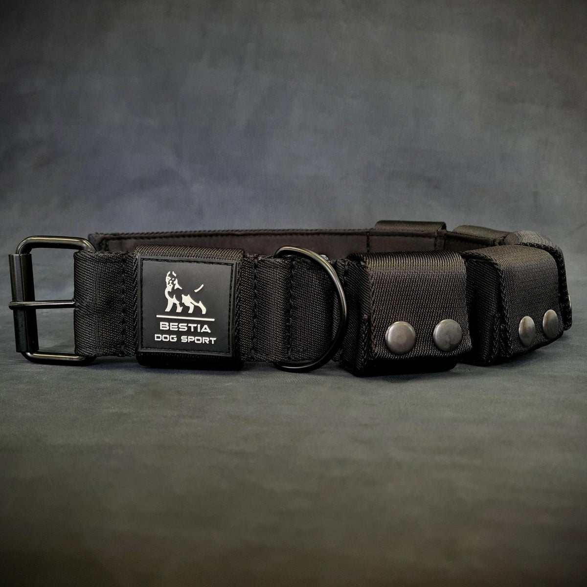 🐕 Collar de Entrenamiento con Peso BESTIA – Pesos Extraíbles y Ajustables 💪