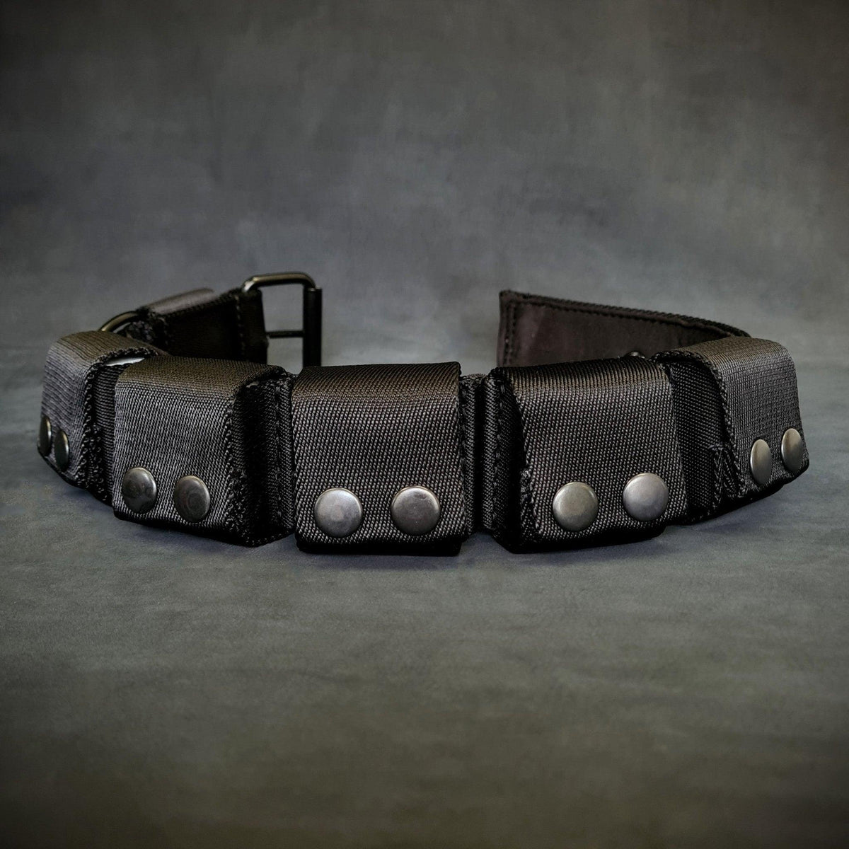 🐕 Collar de Entrenamiento con Peso BESTIA – Pesos Extraíbles y Ajustables 💪
